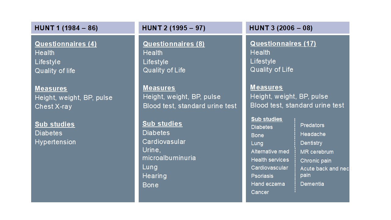 The HUNT 1-3- phenotypic data