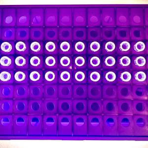 biobank samples